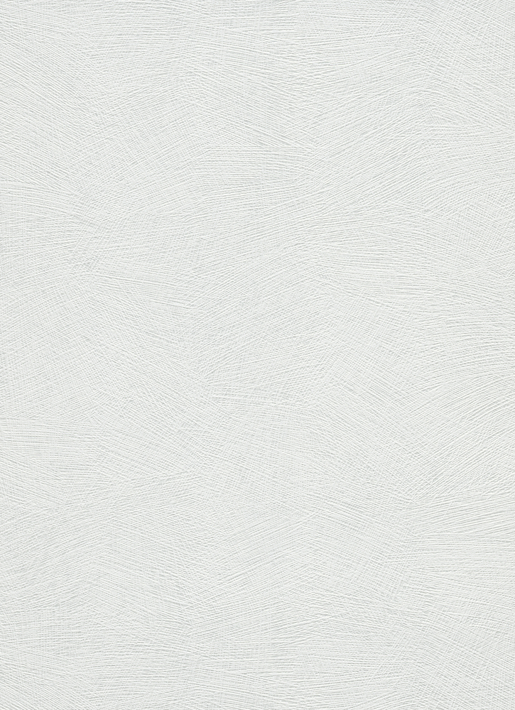 Revêtement à peindre intissé RollOver Déco 13004-14, rouleau de 25 x 1,06 m, Collection Best Sélection 2025