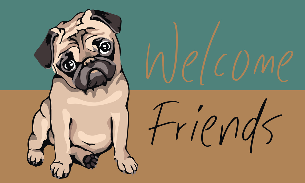 Tapis coco imprimé Welcome Friends pour entrée 40 x 60 cm