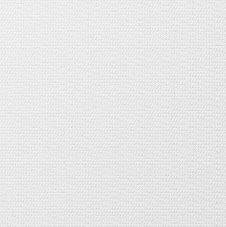 Toile de Verre Maille Fine Peinte Blanche - 1 x 25 m