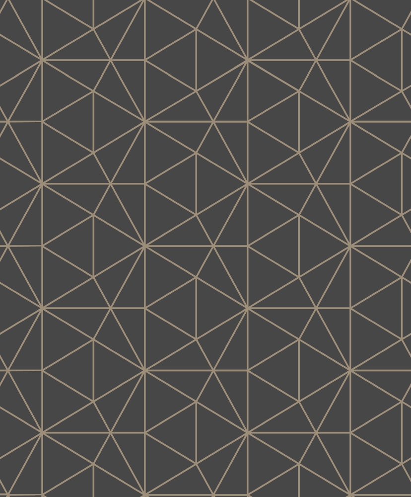 M61509 Expansé sur Intissé Structure Noir