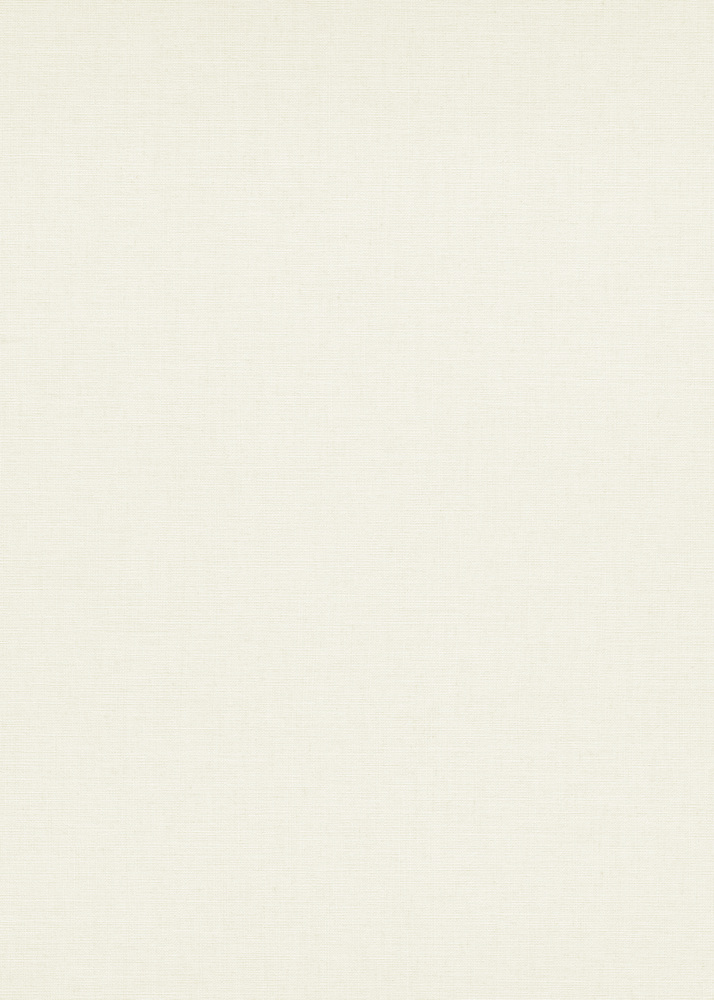 Papier peint vinyle grainé sur intissé uni Casual Blanc 10262-01
