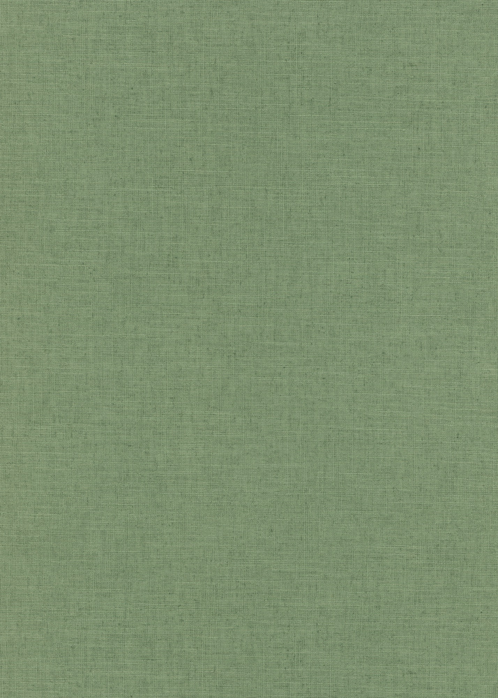 10262-07 Vinyl Grainé sur Intissé Uni Casual Vert