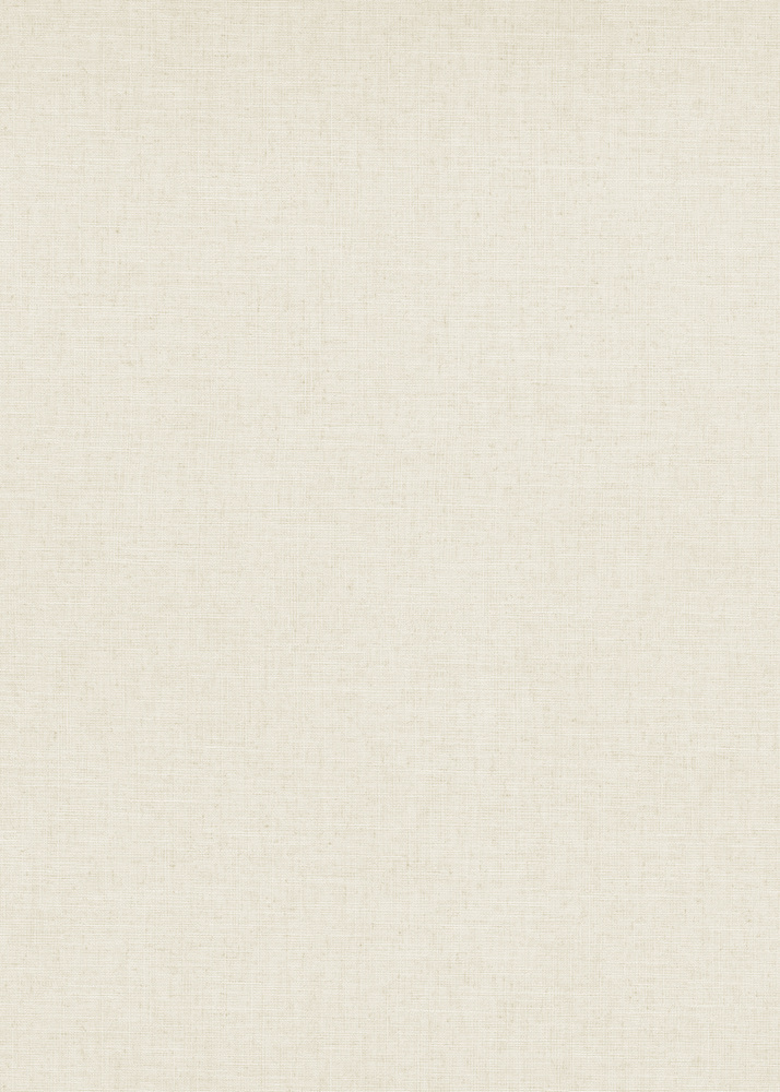 Papier peint vinyle grainé sur intissé uni casual écru, avec un relief subtil et un aspect chaleureux.