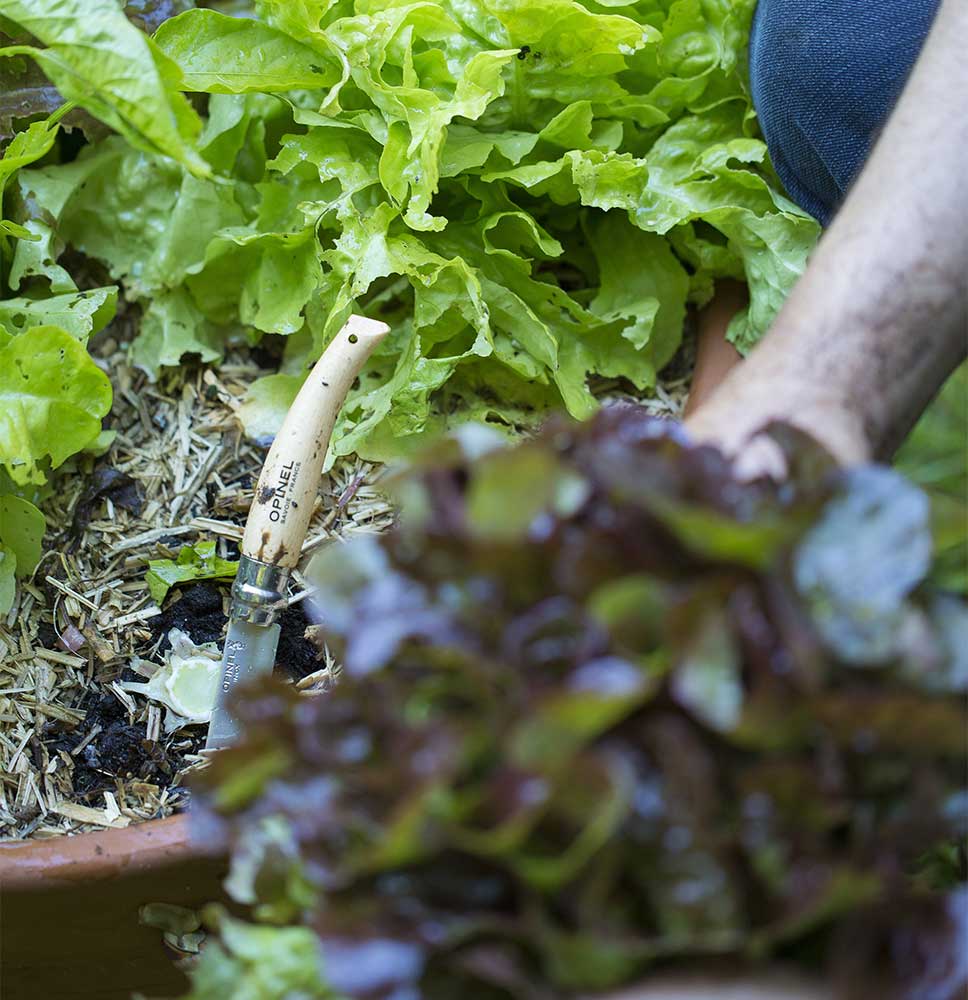 Couteau de Jardin n°8