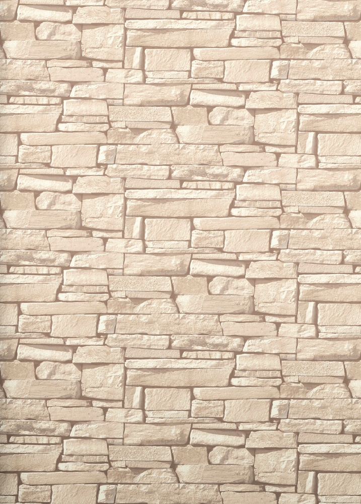 Papier peint vinyle grainé sur intissé, motif pierre naturelle Dax, rouleau 10.05 x 0.53 m, pour un rendu mural authentique.