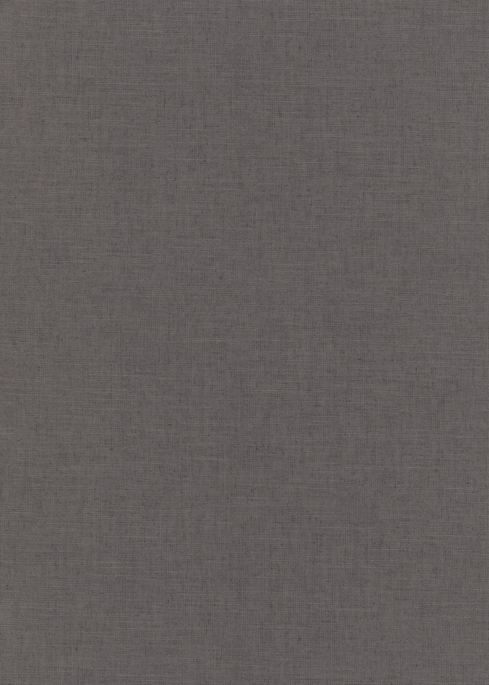 10262-10 Papier Peint Vinyl Grainé sur Intissé Uni Casual Anthracite