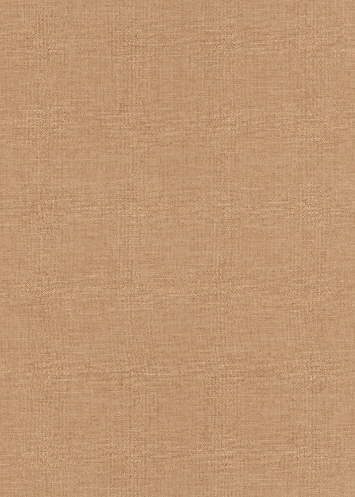 Papier peint vinyle grainé sur intissé uni casual brun 10262-11, texture mate pour ambiance chaleureuse
