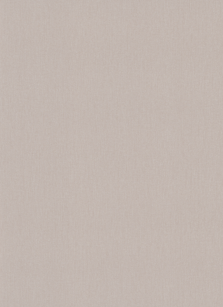 10072-02 Papier Peint Expansé sur Intissé Uni Taupe