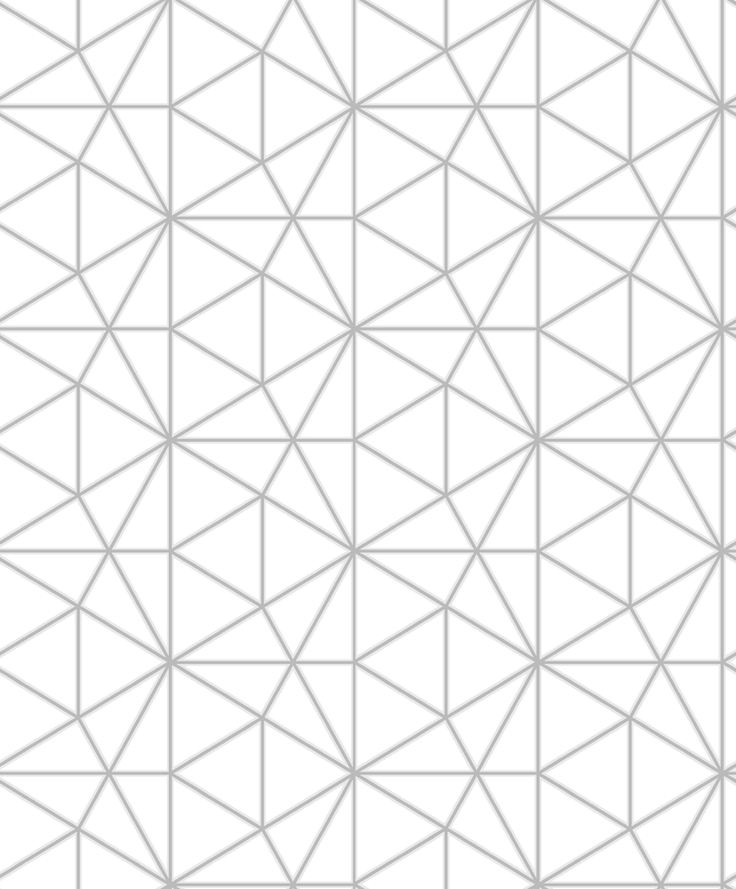 M61500 Papier Peint Expansé sur Intissé Géo Blanc Argent