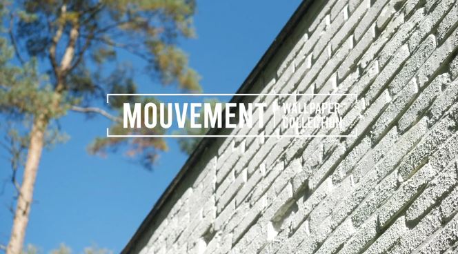 Mouvement Album, collection d'échantillons de revêtements muraux aux textures et nuances variées pour le bâtiment.