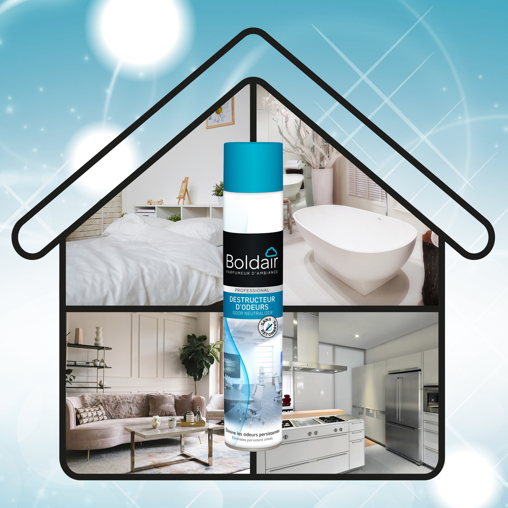 Destructeur d'Odeurs 500 ml