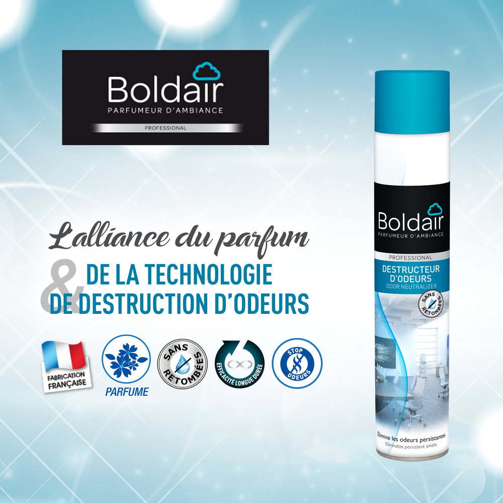 Destructeur d'Odeurs 500 ml