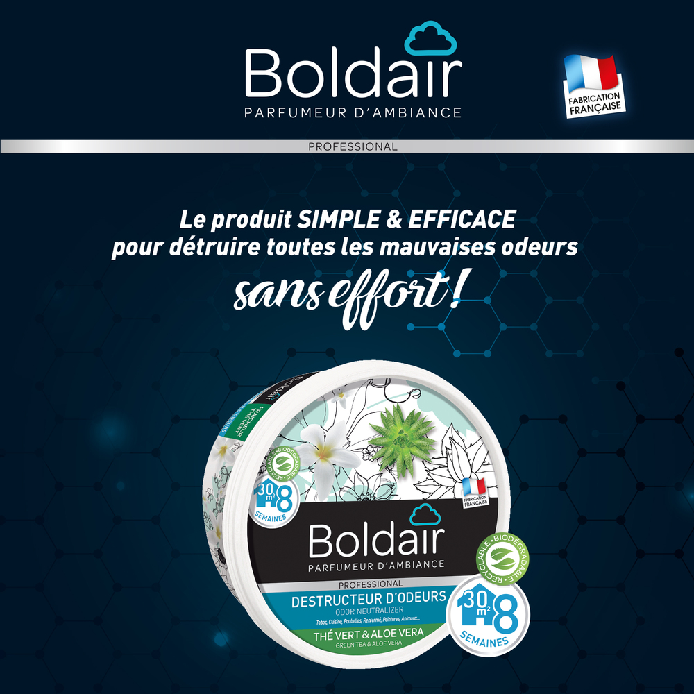 Gel Destructeur d'Odeur Senteur Thé Vert 300g