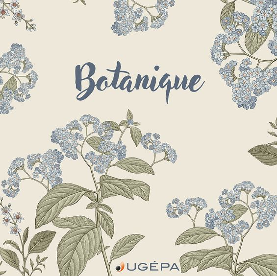 Album de collections de papiers peints Botanique Album à motifs floraux et végétaux.