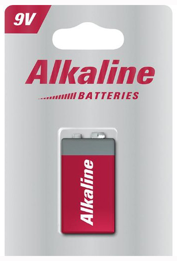 Pile Alcaline 6LR6 9V sous Blister