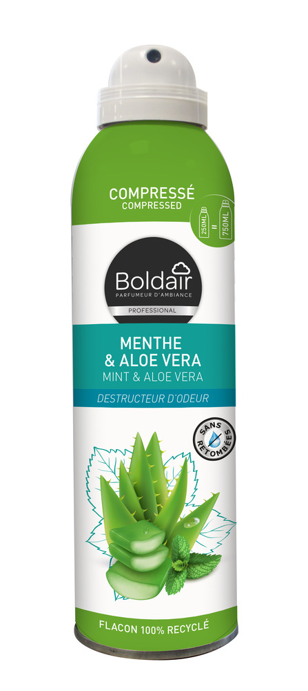 Désodorisant d'Intérieur Menthe et Aloe Vera Compressé 250 ml, parfum frais, destructeur d'odeurs.