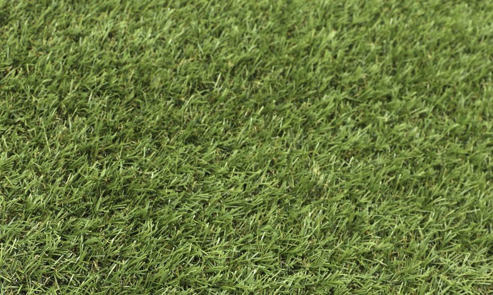 Gazon Synthétique 20 mm Savana Rouleau de 30 ml