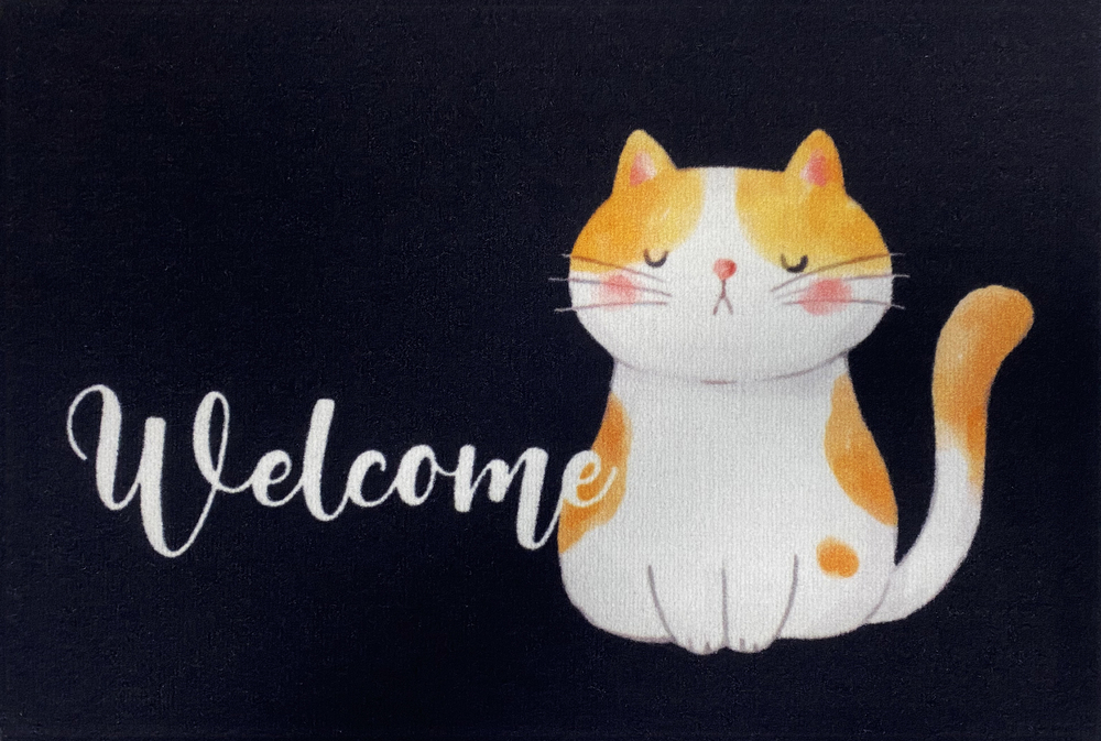 Tapis Entry Welcome Cat Anthracite 40x60cm