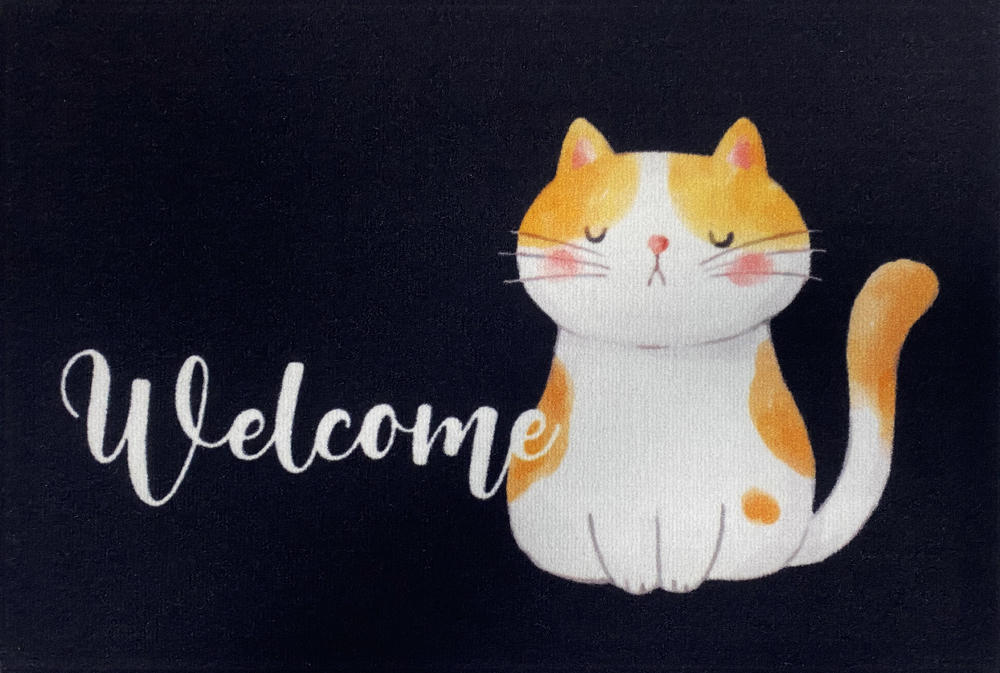 Tapis Entry Welcome Cat Anthracite 40 x 60 cm