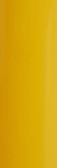 Bande de Contremarche Adhésive Jaune 10 cm x 10 m