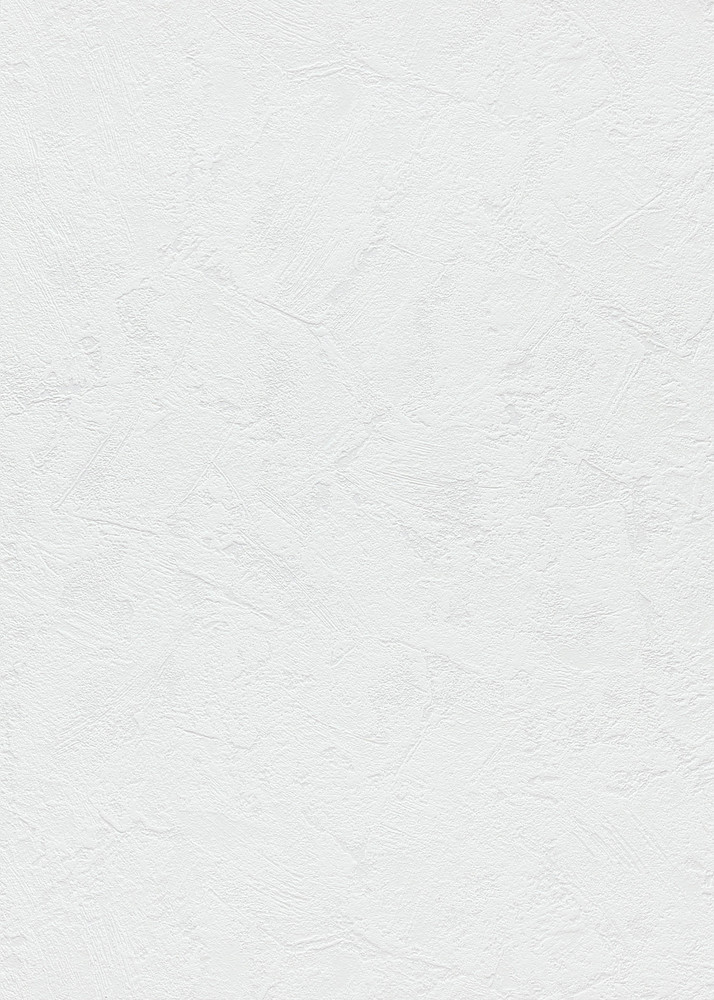 Papier peint vinyle expansé sur intissé uni blanc avec une légère texture