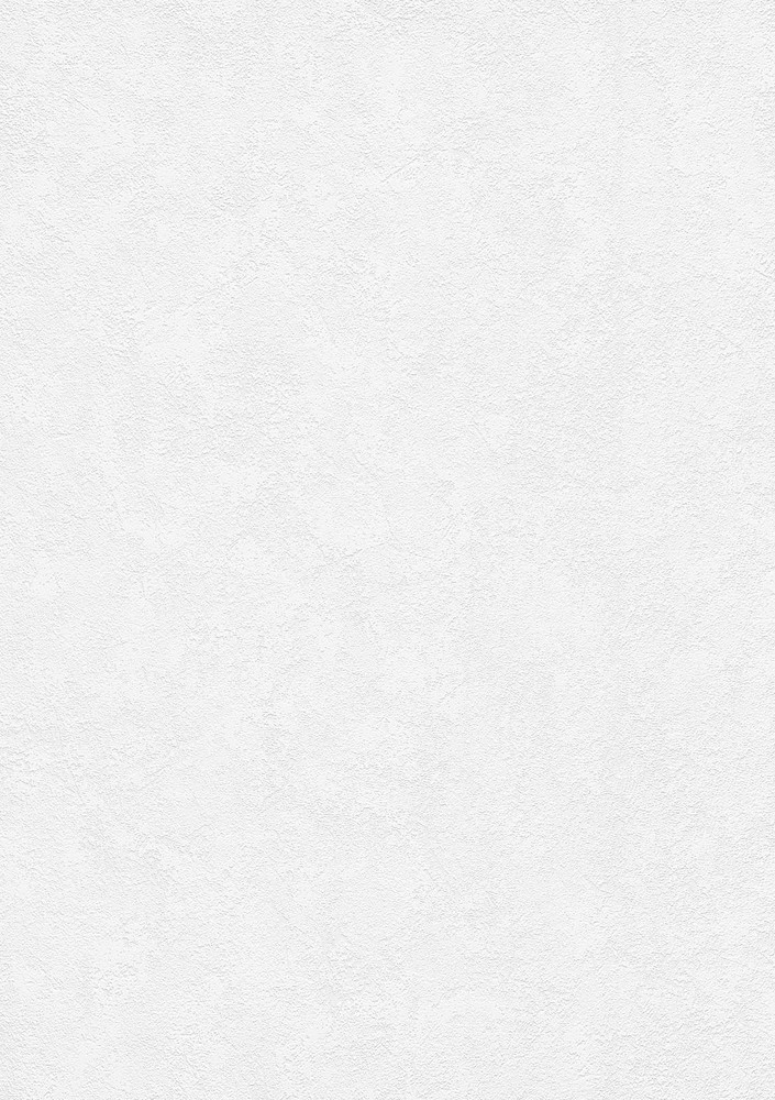 Papier peint vinyle expansé sur intissé uni blanc facile à poser