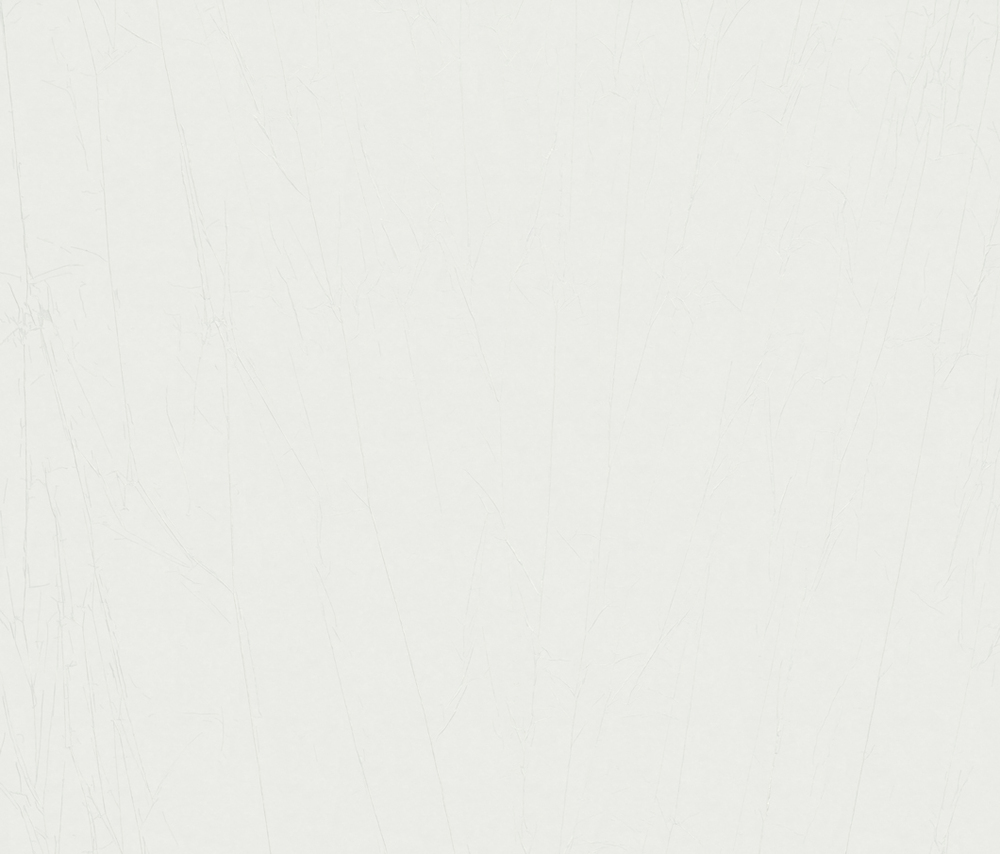 Revêtement mural à peindre Patent Decor Froissé 1866 en rouleau de 10.05x0.75m