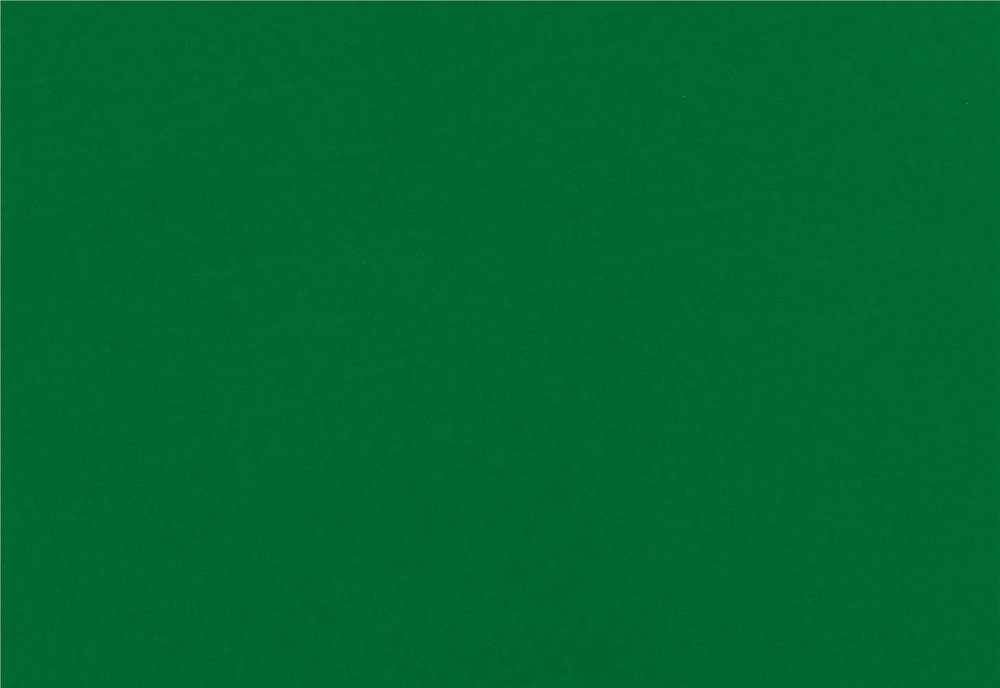 21104 Adhésif Velours Vert 45cmx1m