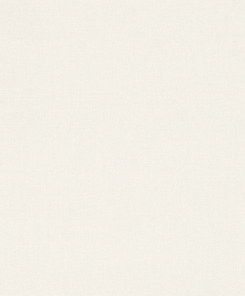 3404 - Papier Peint Vinyle Grainé sur Intissé Uni Relief Beige