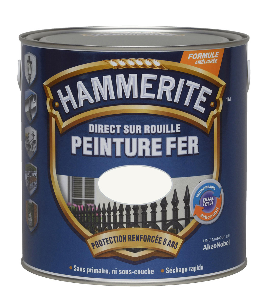 Peinture Fer - Direct sur Rouille - Brillant Laqué 0.25L