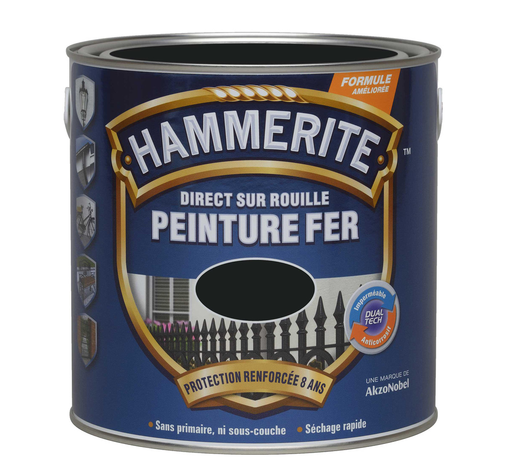 Peinture fer - direct sur rouille - satin noir 0.25L