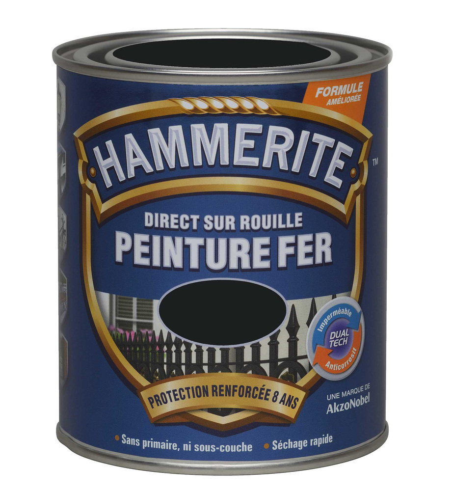 Peinture fer - direct sur rouille - satin noir 0.75L