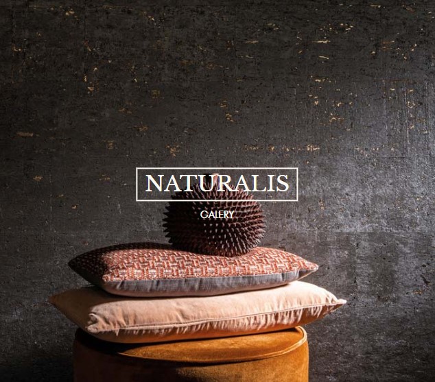 Collection de papiers peints Rasch Emil&Hugo Naturalis, présentant des motifs naturels et des textures variées dans un livret d'échantillons.