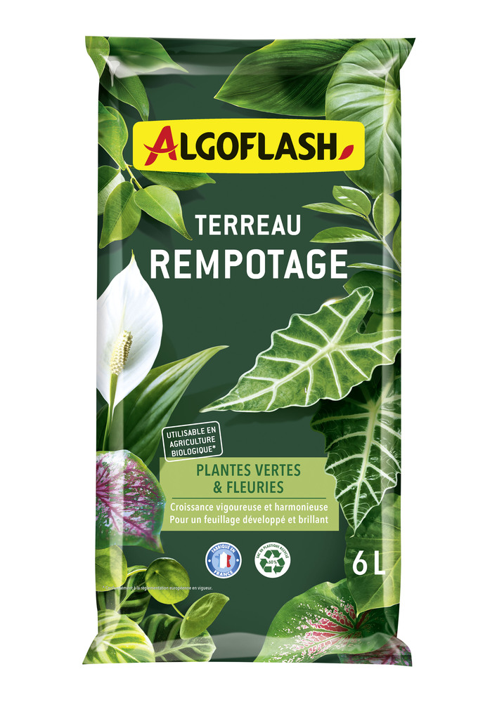 Sac de terreau Rempotage Plantes Vertes et Fleuries 6L, avec formule enrichie pour un rempotage réussi.