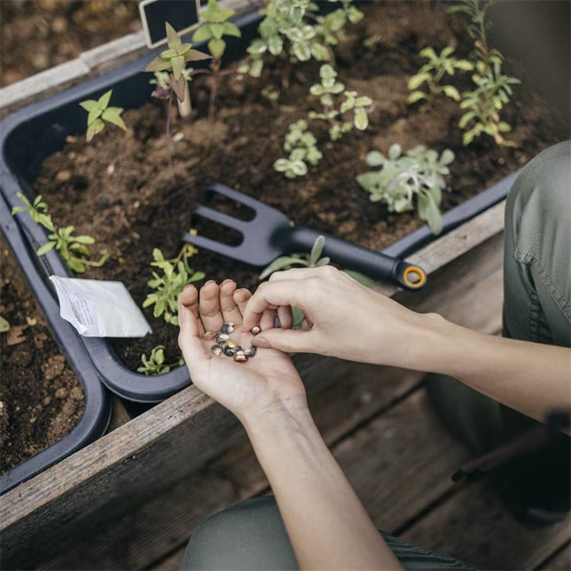 Griffe à Fleurs Solid 65% de Matières Recyclées