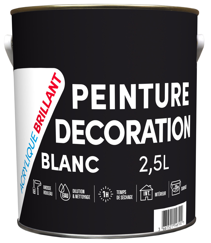 Peinture Décoration Acrylique Brillant Blanc