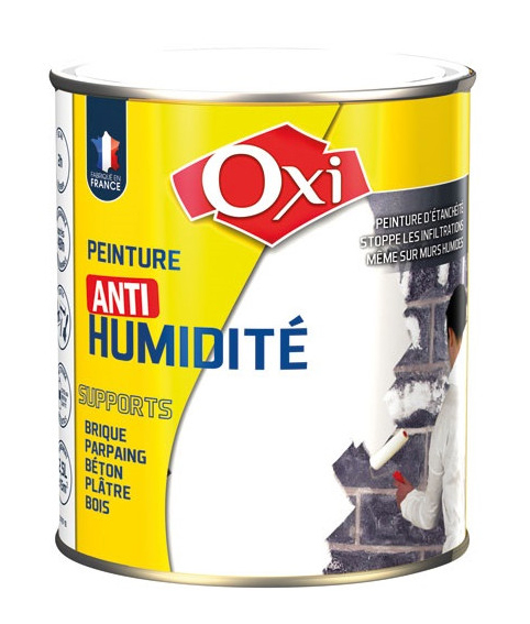 Peinture Anti Humidité