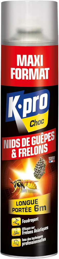 Anti Guêpes et Frelons Foudroyant Aérosol 600 ml TP18