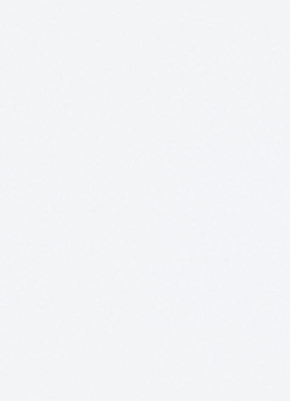 Revêtement mural intissé à peindre Rollover Déco, rouleau 25 x 0.75 m de la Collection Best Sélection 2025