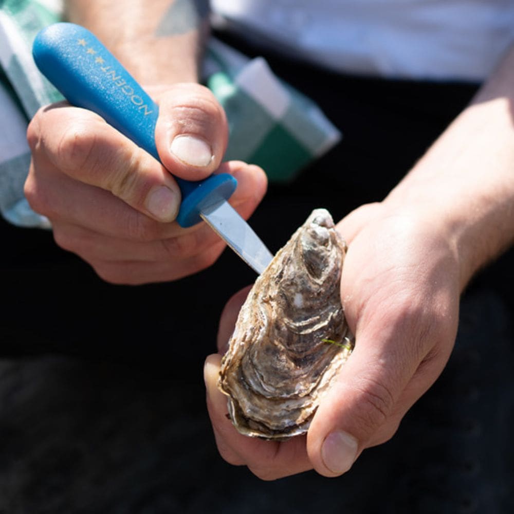 Couteau à Huîtres Bleu Classic