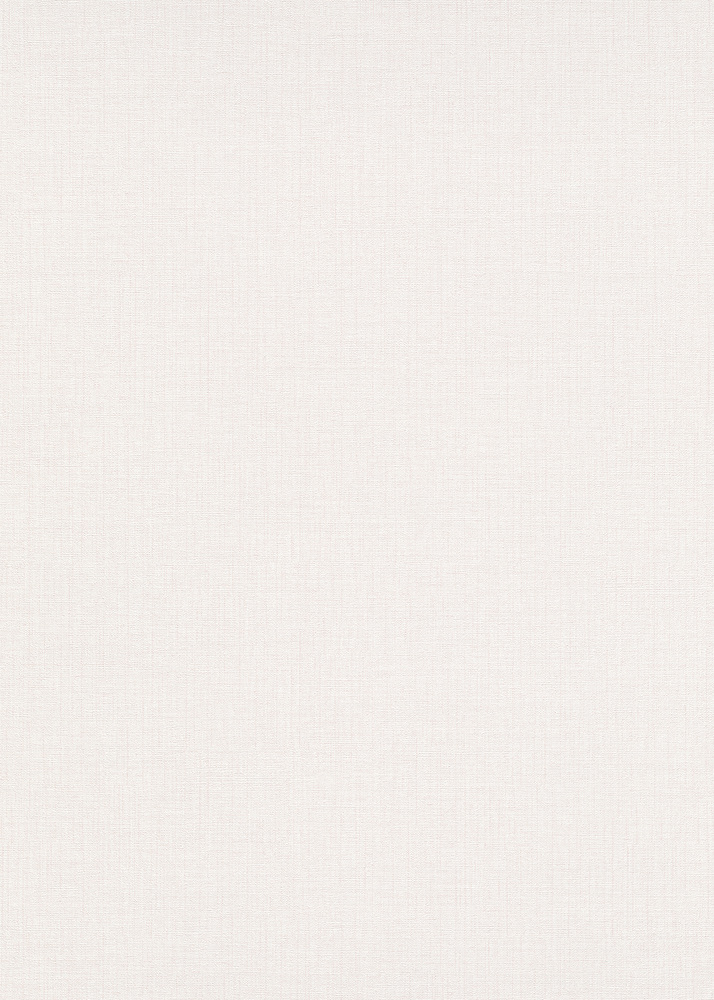 10215-26 - Papier Peint Vinyle Grainé sur Intissé Uni Textile Beige
