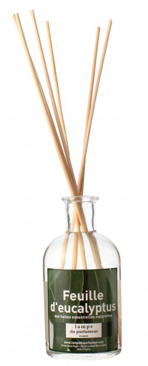 Désodorisant diffuseur Bambous Parfumés Feuille d'Eucalyptus 100 ml en flacon de verre
