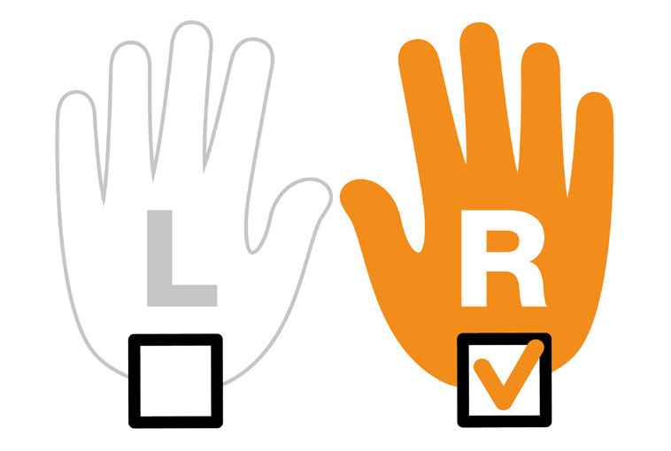 Ciseaux Universels Functional Form ReNew 21 cm