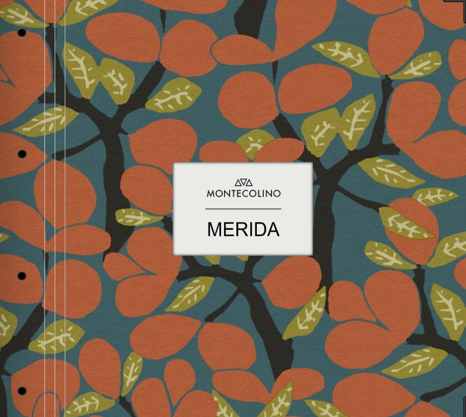  Merida Album 2026 MONTECOLINO 
