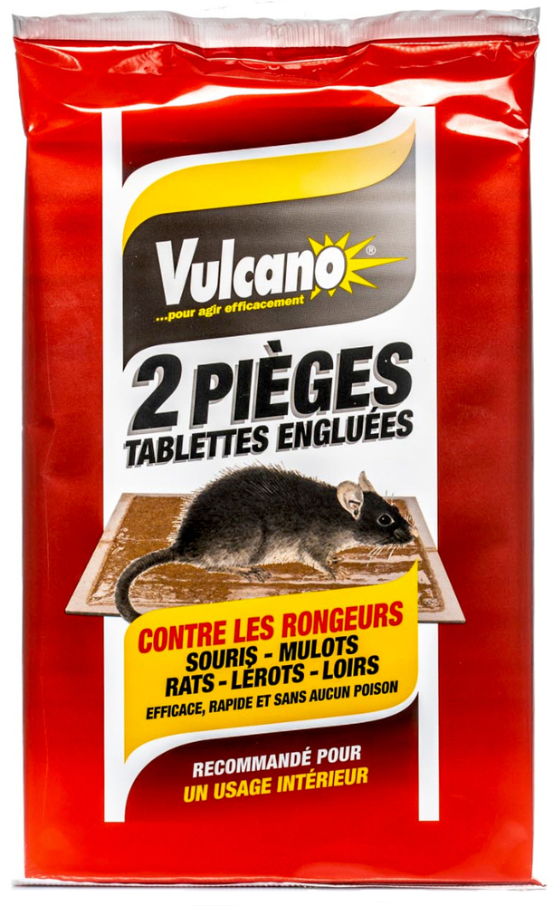 Pièges Englués Rats et Souris Lot de 2