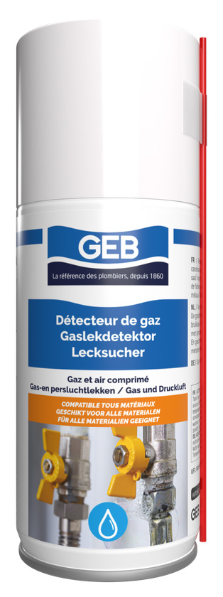 Détecteur Gaz