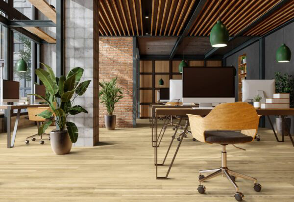 Optima 70 à Coller VALLEY D2570 Lame 1219.4 x 177.8 mm