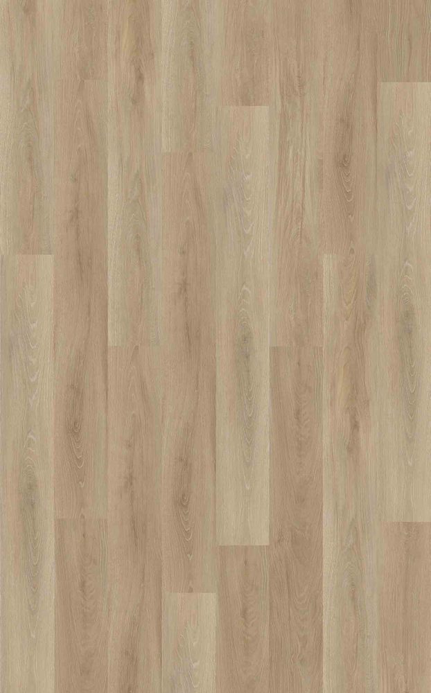 Optima 70 à Coller SHAPE D2570 Lame 1219.4 x 177.8 mm