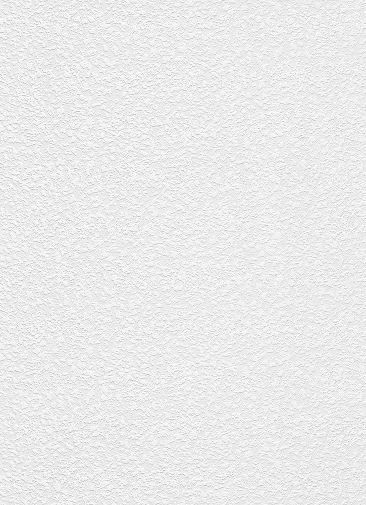 5364-10 - Revêtement à Peindre Intissé Crépi Moucheté RollOver Déco 10.05 x 0.53 m