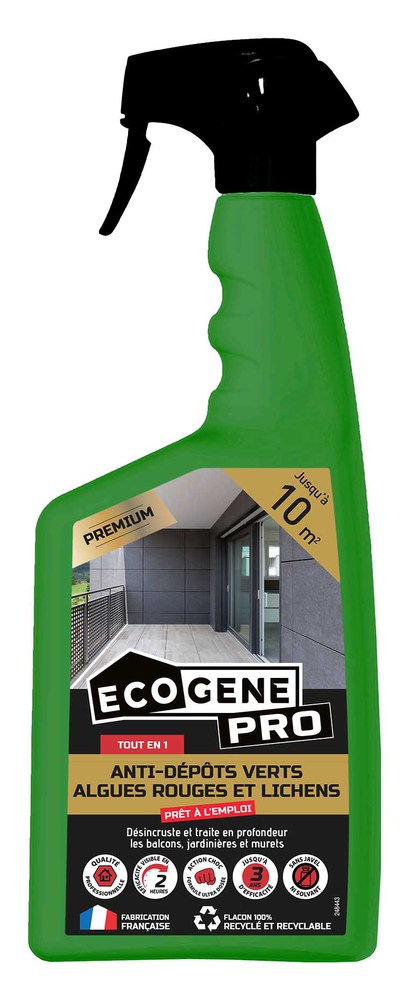 Spray anti-dépôts verts 1 litre pour nettoyage de façades, toitures et terrasses, élimine mousses et lichens.